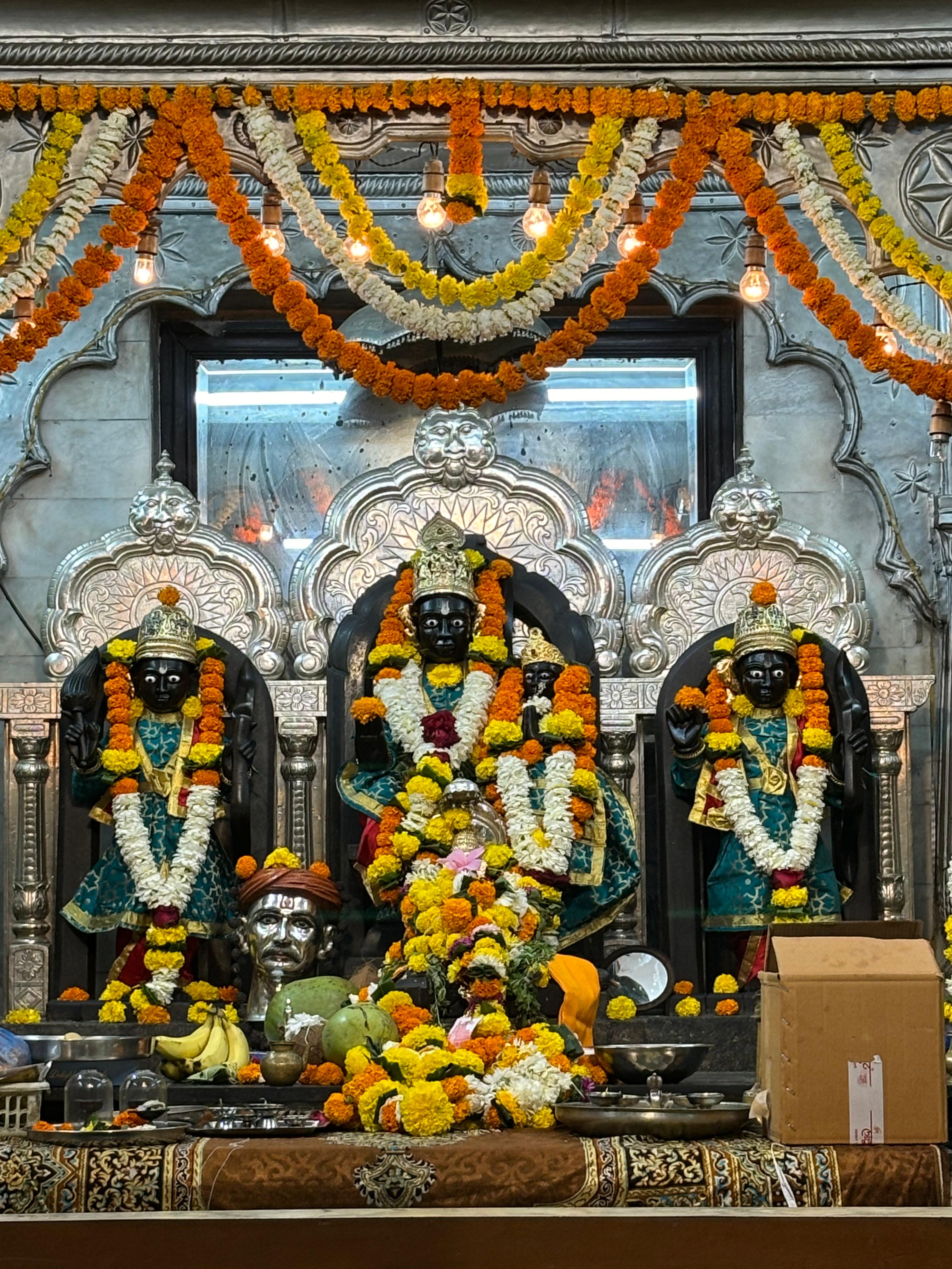 Image 15